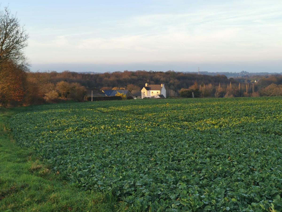 Les Gites De L'Hermine Plouigneau Kültér fotó